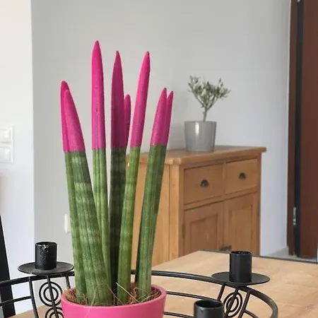 Apartmán Glyfada 3 Bed: Modern & Cozy
